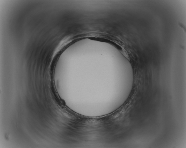 X0000098050198200804251112