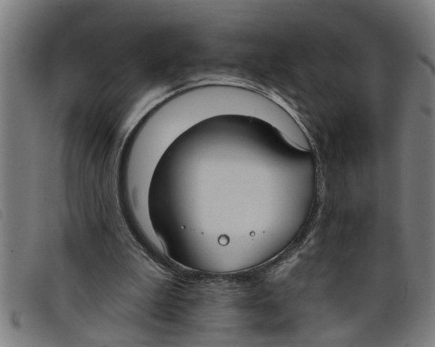 X0000098050199200804251112