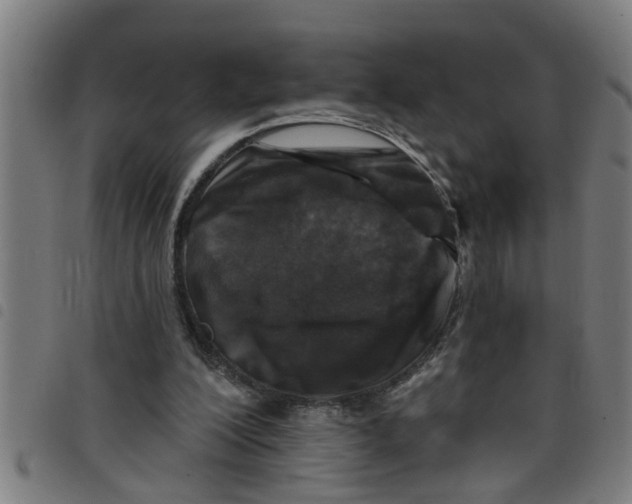 X0000098050200200804251112