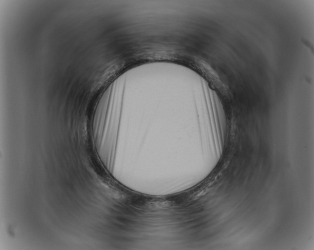 X0000098050202200804251112