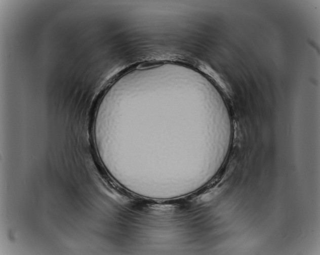 X0000098050203200804251112
