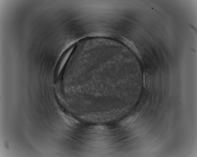 X0000098050204200804251112
