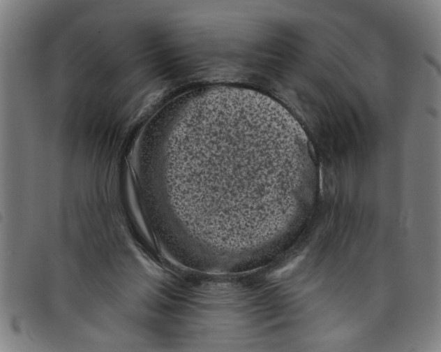 X0000098050205200804251112