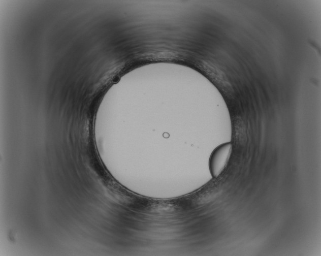 X0000098050206200804251112