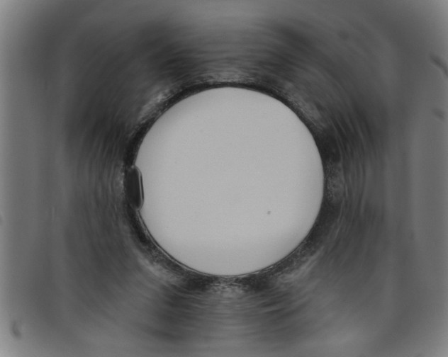 X0000098050207200804251112