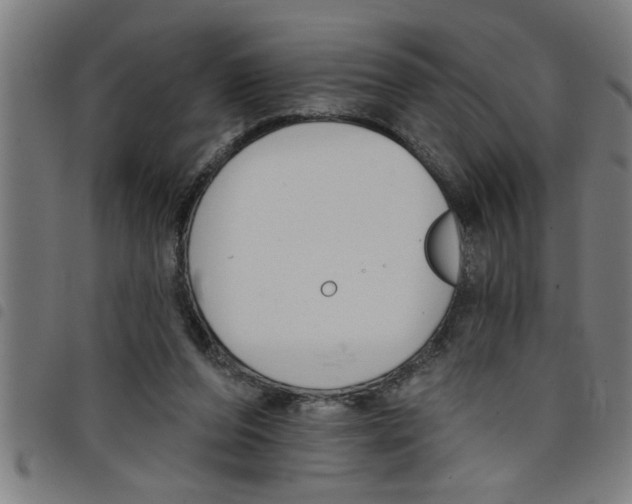 X0000098050208200804251112