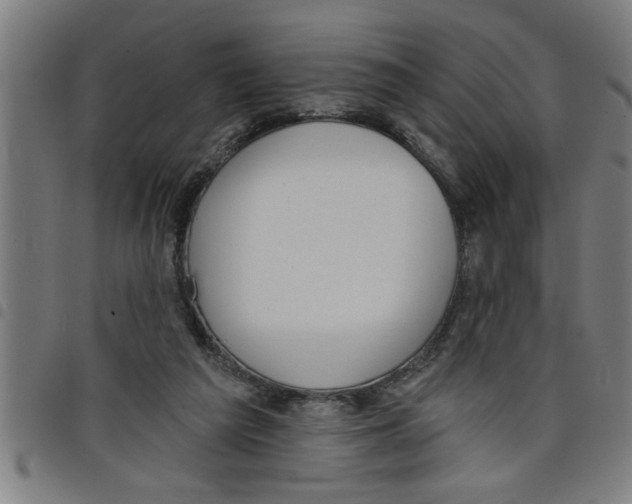 X0000098050209200804251112