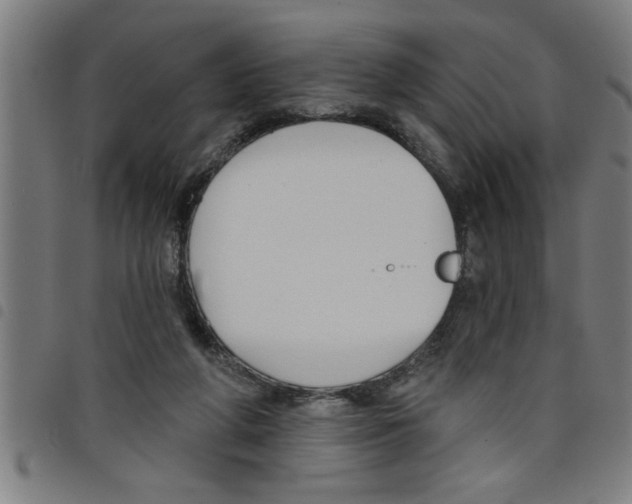 X0000098050210200804251112