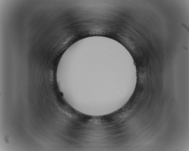 X0000098050211200804251112