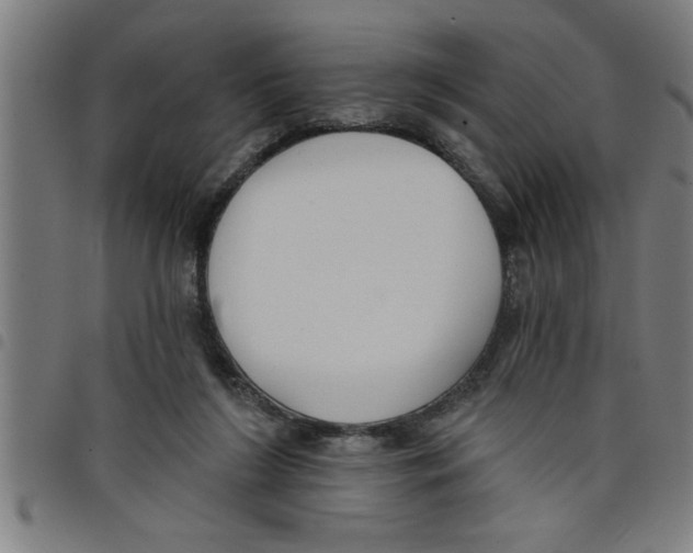 X0000098050212200804251112
