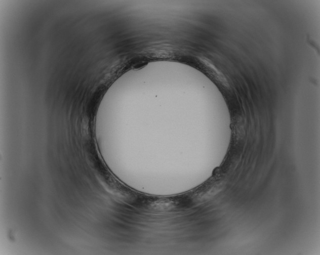 X0000098050213200804251112