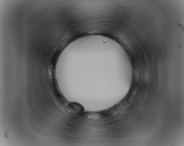 X0000098050214200804251112