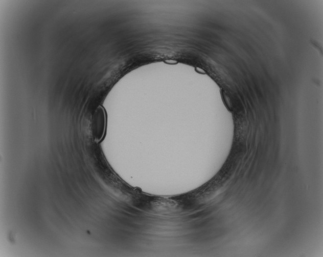 X0000098050215200804251112
