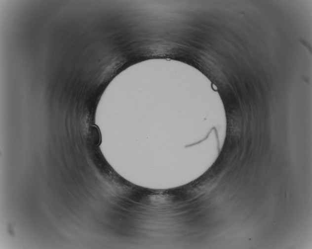 X0000098050216200804251112