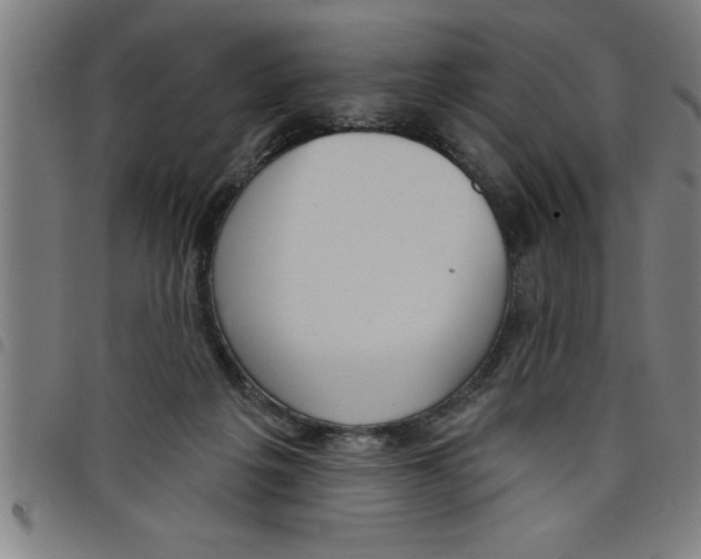 X0000098050217200804251112