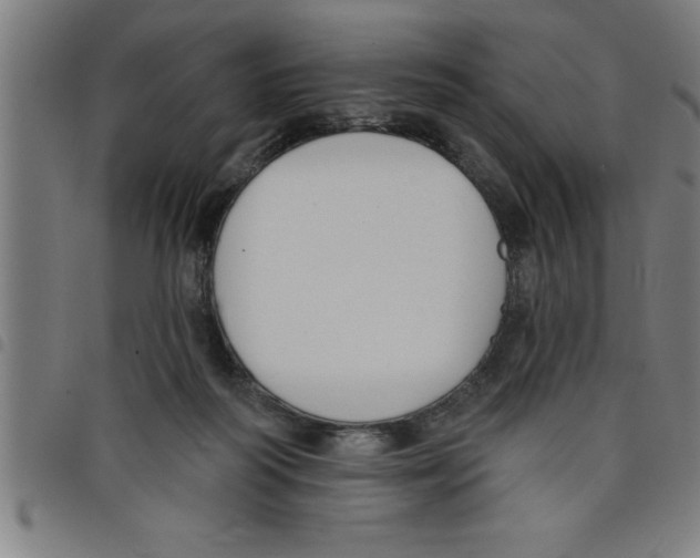 X0000098050218200804251112