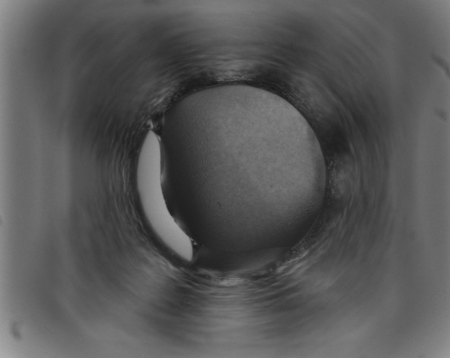 X0000098050219200804251112