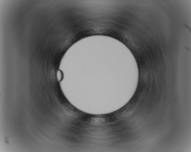 X0000098050220200804251112