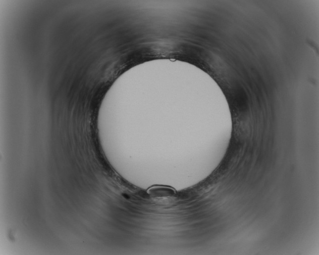X0000098050221200804251112