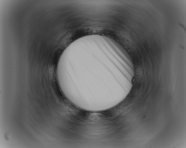 X0000098050222200804251112
