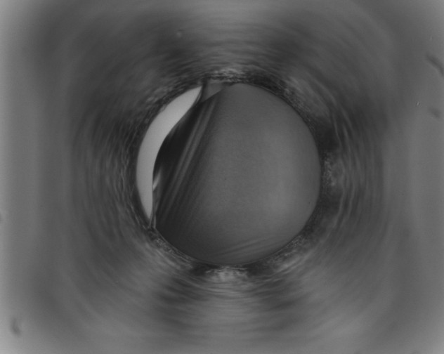X0000098050223200804251112