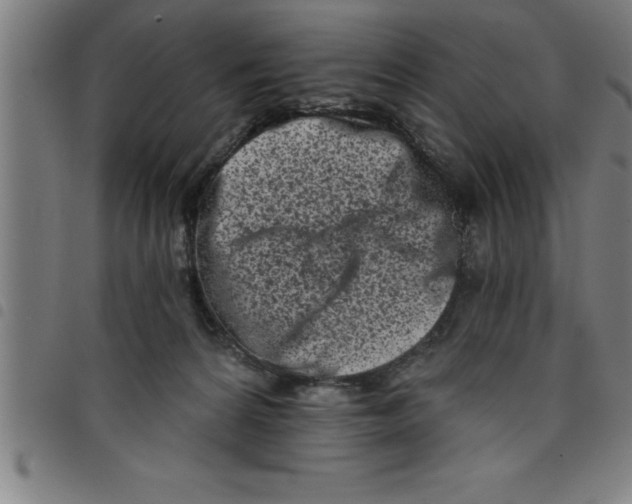 X0000098050224200804251112