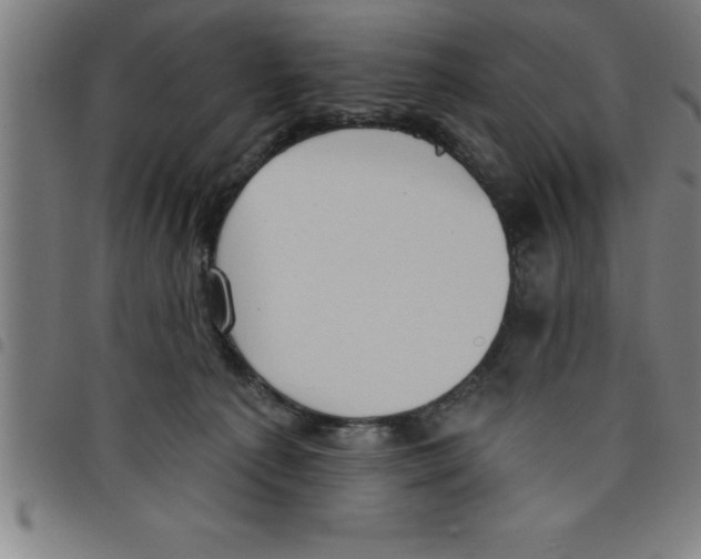 X0000098050225200804251112