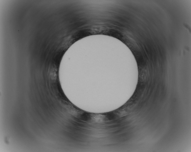 X0000098050226200804251112