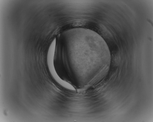 X0000098050227200804251111