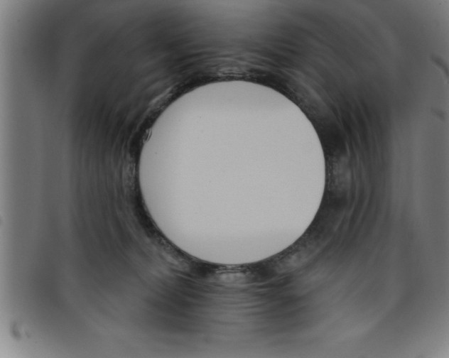 X0000098050228200804251111