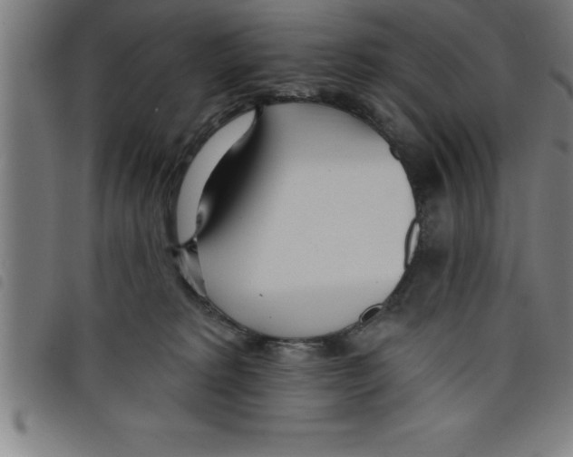 X0000098050229200804251111