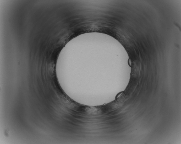 X0000098050230200804251111