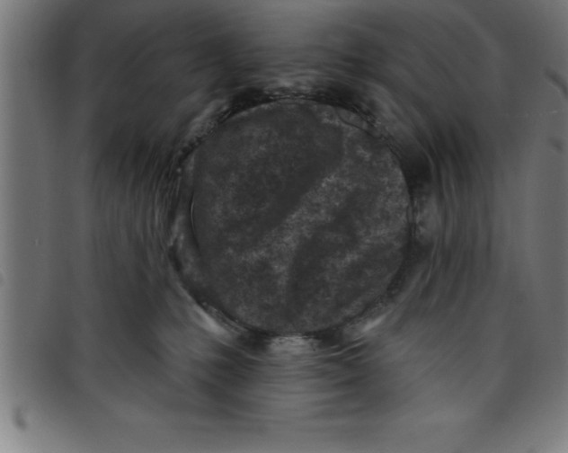 X0000098050231200804251111
