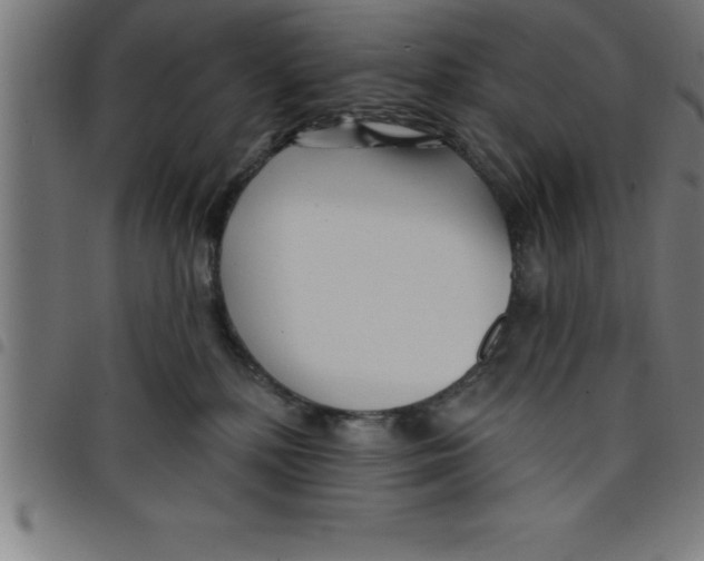 X0000098050232200804251111