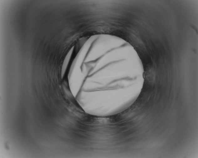 X0000098050233200804251111