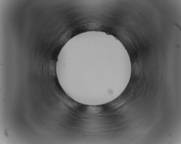 X0000098050234200804251111