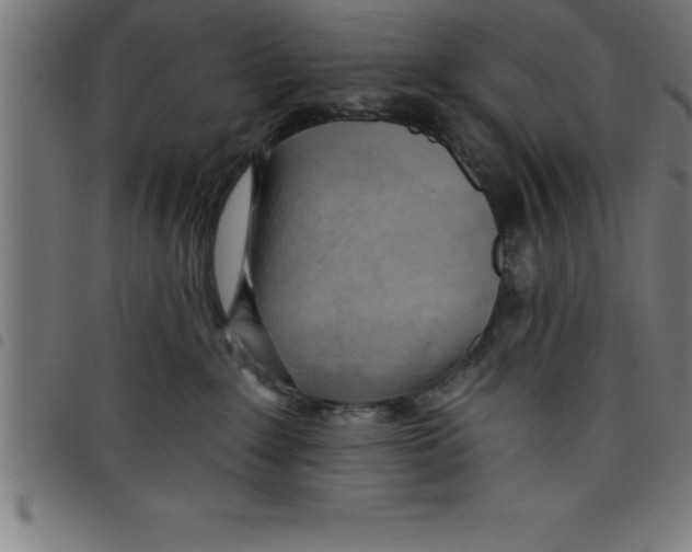 X0000098050235200804251111