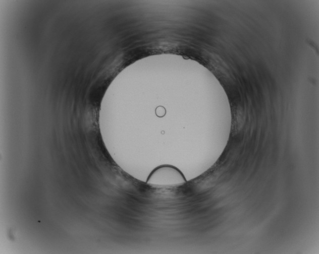 X0000098050236200804251111