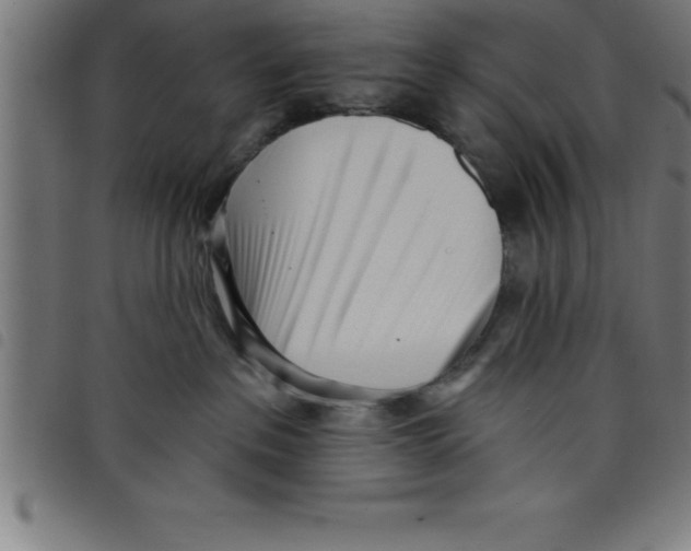 X0000098050237200804251111