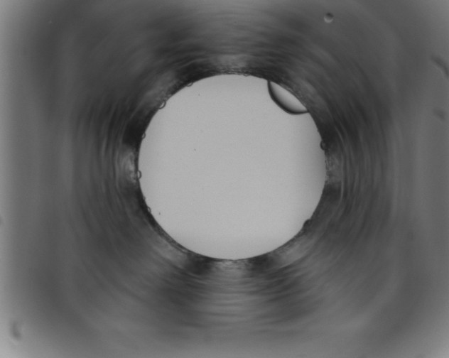 X0000098050238200804251111