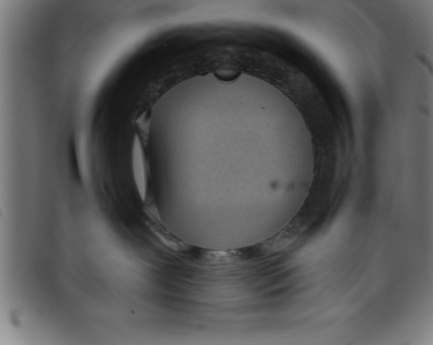 X0000098050239200804251111