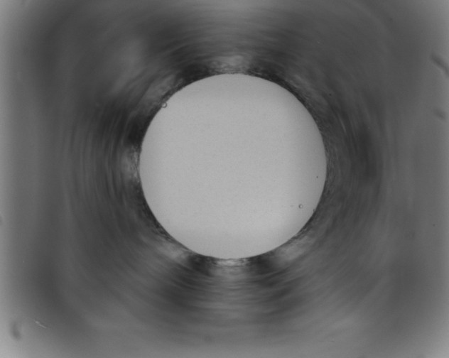 X0000098050240200804251111