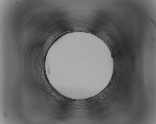 X0000098050241200804251110