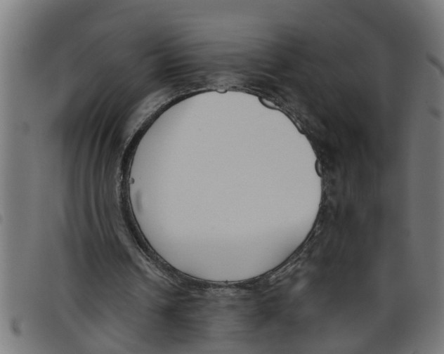 X0000098050242200804251110