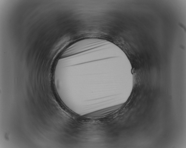 X0000098050243200804251111