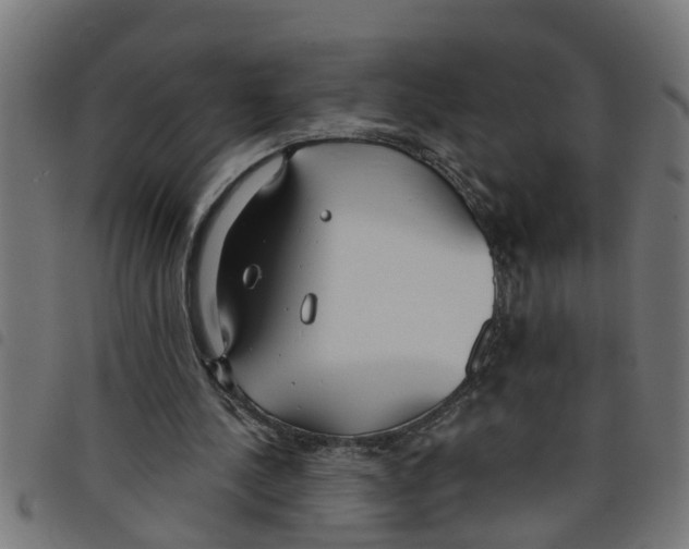 X0000098050244200804251111