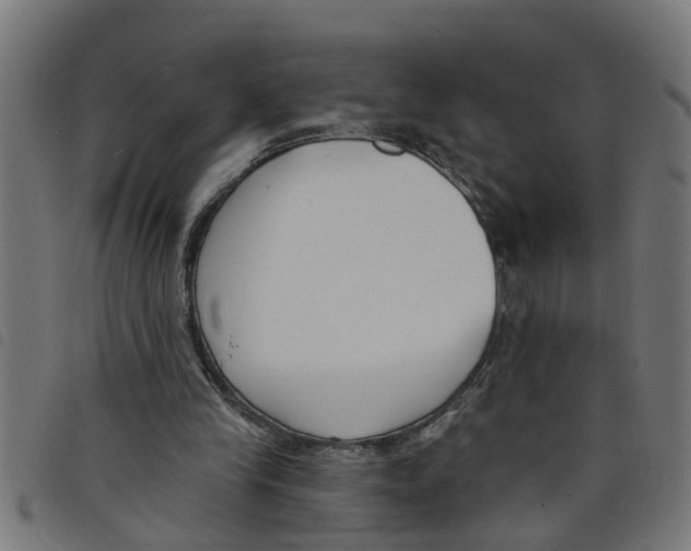 X0000098050245200804251111