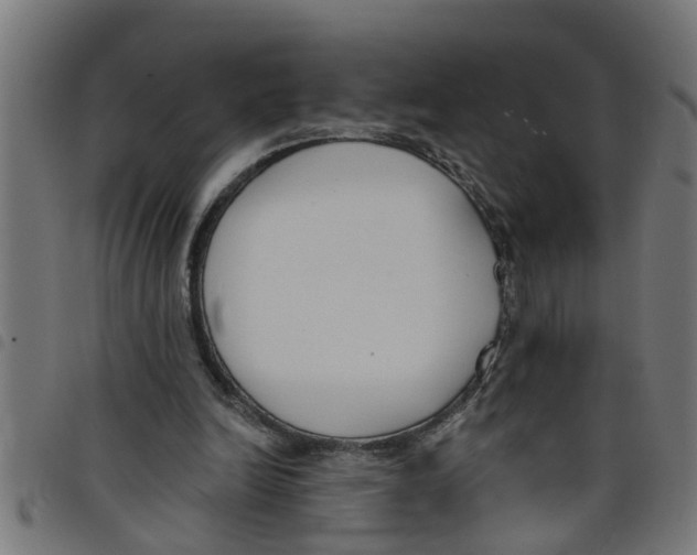 X0000098050246200804251111