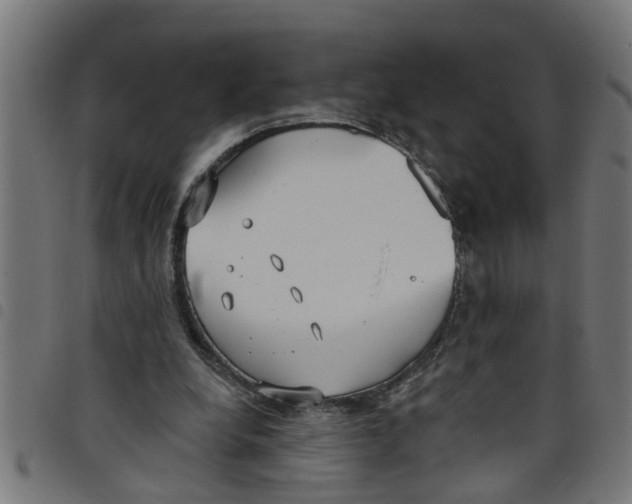 X0000098050248200804251111