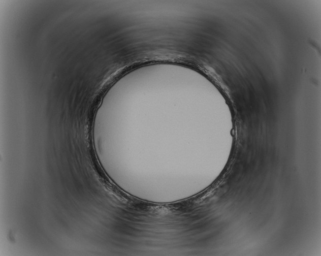 X0000098050249200804251111